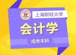 上海成考擇校指南 名校聚集，專業齊全，助力職場人輕松提升學歷
